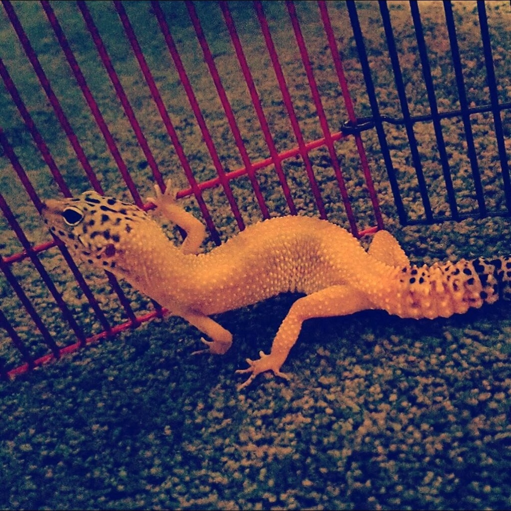 Meet your Posher, Kelsey